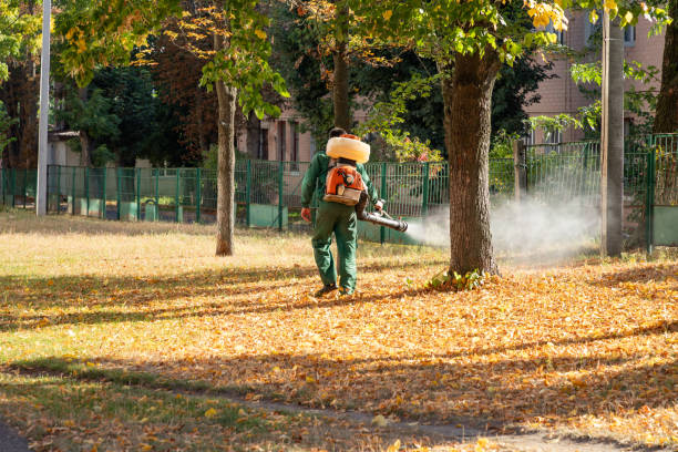 Best Residential Pest Control  in Haines City, FL